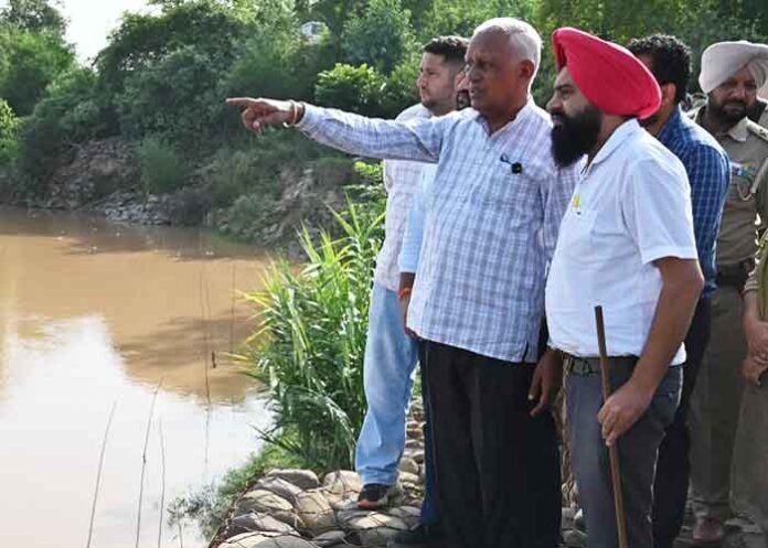 Goyal reviews flood protection works