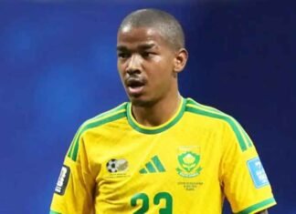 FIFA WC: South Africa midfielder Jayden Adams dies at 25, weeks after World Cup appearance Jayden Adams Footballer