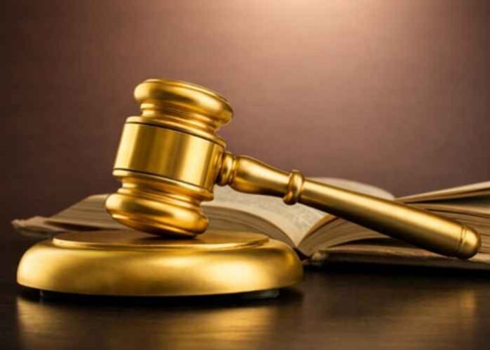 Judge Hammer
