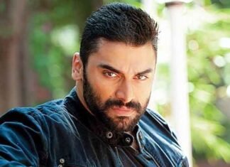 Nikitin Dheer on returning as Waseem Khan in ‘Raktanchal Season 3’: ‘It’s incredibly satisfying’ Nikitin Dheer Actor 1