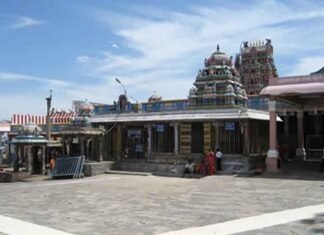 Palani temple land fraud: CB-CID questions five officials, expands probe Palani temple land