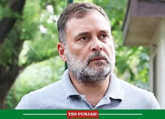 Rahul Gandhi to visit Tamil Nadu on August 1, TN Congress chief Manickam Tagore announces Rahul Gandhi LoP Said