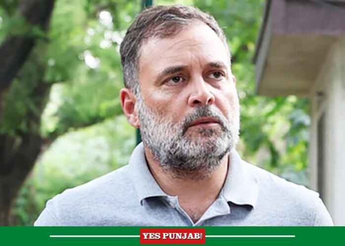 Rahul Gandhi LoP Said