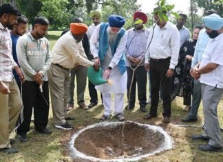 Sandhwan plants trees at Vidhan Sabha