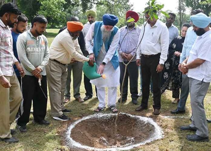 Sandhwan plants trees at Vidhan Sabha