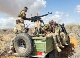 Somali army airstrikes kill 35 al-Shabaab militants