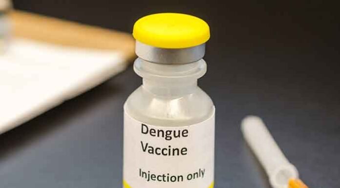 India approves first dengue vaccine QDENGA for people aged 4-60 years dengue vaccine