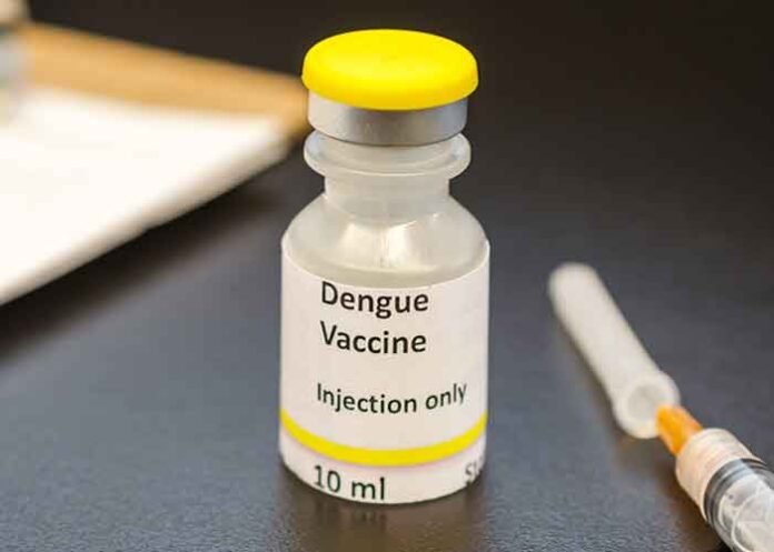 dengue vaccine