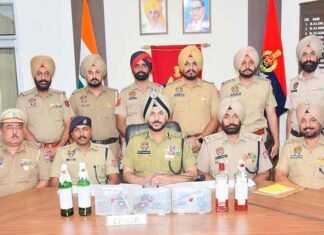 ISI-Backed Terror Modules Busted in Amritsar, Four Petrol Bombs and 3 Pistols Recovered; 9 Held Amritsar Police busts alleged ISI-backed terror modules