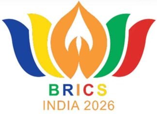 BRICS Summit: NDMC divides 41 major roads into 14 circles, steps up civic preparedness BRICS Colour India 2026 Logo