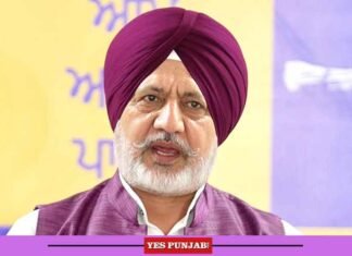 Baltej Pannu accuses Ex-Cricketer & Rajya Sabha MP Harbhajan Singh, Celebrities of running social media campaign to defame Punjab Baltej Pannu AAP Member