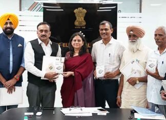 CEO Anindita Mitra Announces Publication of Punjab Draft Electoral Roll 2026; Special Camps on August 16 CEO Anindita Mitra Announces Publication of Punjab Draft Electoral Roll