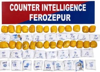 CI Ferozepur and BSF seize 30.2 kg heroin
