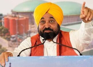 CM Mann Lays Foundation Stone of ₹65-Cr CBG Plant in Ludhiana, Says It Will Help Clean Budha Nallah CM Bhagwant Mann says in Ludhiana