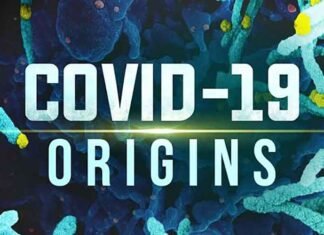 Report calls for greater transparency on Covid origins, says US can press China for answers Covid-19 Origins