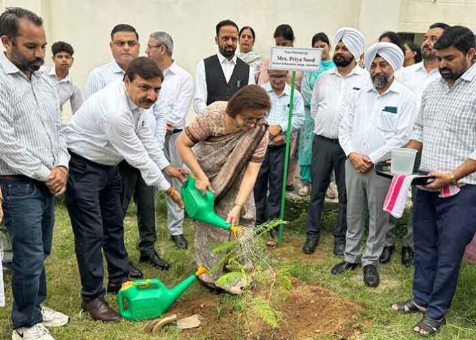 DLSA Jalandhar organised a plantation drive