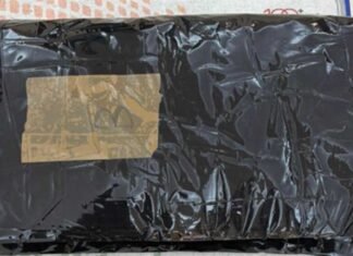 DRI Mumbai Busts Drug Trafficking Network, Seizes 547 Grams of Cocaine; Two Foreign Nationals Arrested
