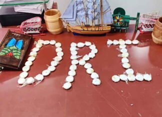 ₹300-Cr Nhava Sheva Meth Haul Puts Spotlight on Afghan Drug Trafficker Mohammad Hassan Hussain Dad DRI methamphetamine seizure near Mumbai Nhava Sheva port