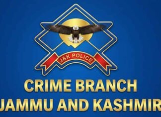 J&K Crime Branch Registers FIR in Dubai Visa, Job Fraud Case; Money Trail Under Probe Jammu and Kashmir J&K Crime Branch