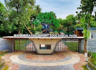 Over 85,000 children visit Chhatbir Zoo in eight months as Punjab boosts wildlife awareness