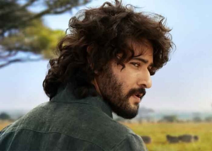 Mahesh Babu Actor 2