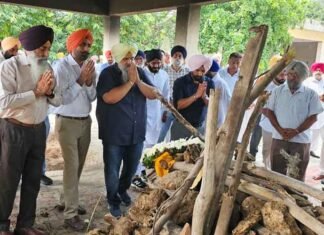 Punjab: Manjit Singh Manauli Cremated; Officials, Journalists Pay Last Respects Manjit Singh Manauli Cremated