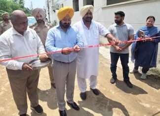 AAP Govt has transformed Patiala with crores in development works: MLA Ajit Pal Kohli Patiala MLA Ajit Pal Kohli highlights development works