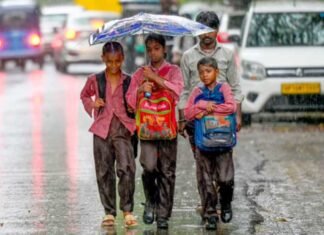 Noida schools step up precautions amid rise in swine flu, dengue cases