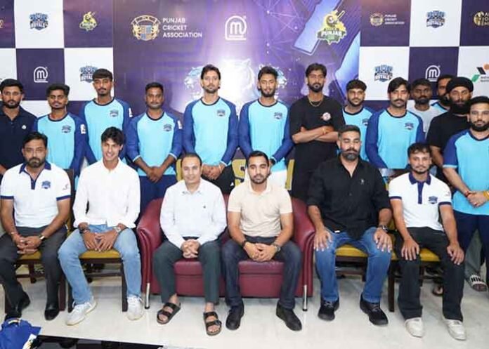 Sher-e-Punjab League to Feature Six Teams