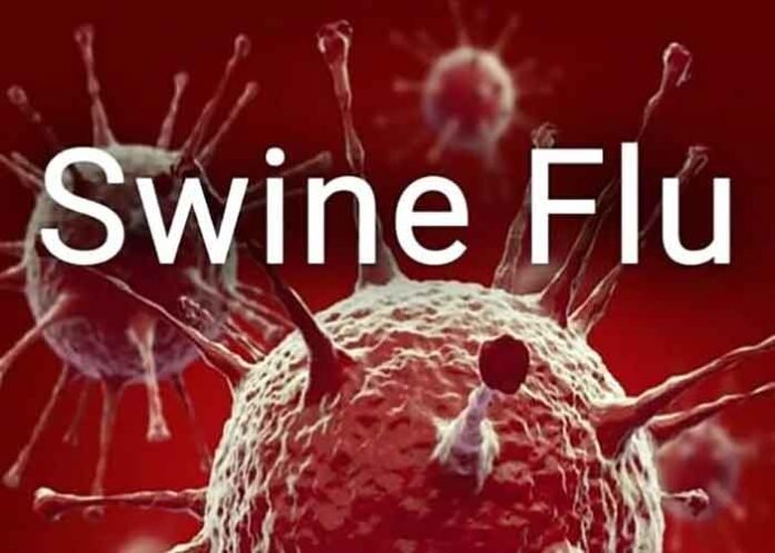 swine flu