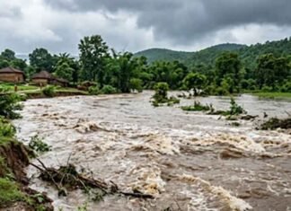Two Dead, Woman Missing After Swollen River Sweeps Away Three in Jharkhand’s Saranda swollen river sweeps away three in Jharkhand Saranda
