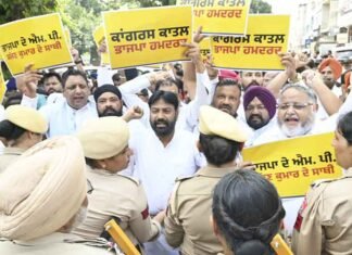 AAP Jalandhar Protests Against BJP Over 3 MPs’ Visit to Sajjan Kumar’s Residence AAP Jalandhar stages protest against BJP
