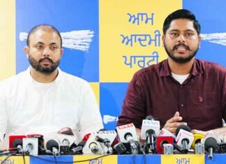 AAP MLA Sherry Kalsi Accuses BJP of Using ED Raids to Intimidate Punjab Leaders AAP MLA Shery Kalsi accuses BJP