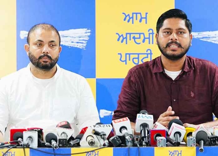 AAP MLA Shery Kalsi accuses BJP