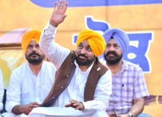 Opponents Trying To Defame Me Falsely, Looking For Opportunity To Loot Punjab: CM Bhagwant Mann