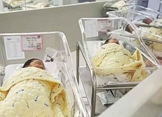 Maharashtra Family Welcomes Baby Girl in Chariot After 200 Years Without a Daughter First baby girl in 200 years Maha family welcomes her in chariot