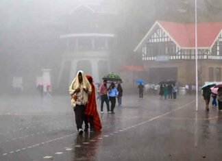 Himachal Pradesh Records 29th Lowest August Rainfall Since 1901: IMD Himachal rainfall Heavy rain