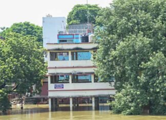 Kosi Nears High Flood Level in Katihar’s Kursela as Floodwaters Cut Off Villages, Destroy Crops Kosi nears High Flood Level in Katihar Kursela as floodwaters