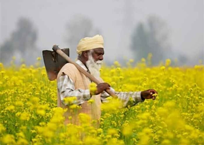MSP for Rabi crops Farmers