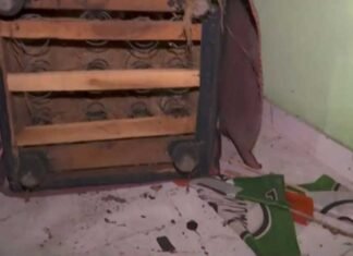 MAITC Office Vandalised in Kolkata’s Jadavpur, Police Probe Underway; BJP Denies Role