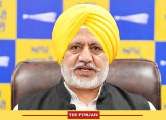 Punjab Police Handled LPU Situation Professionally, SIT to Establish Facts: AAP’s Baltej Pannu Punjab AAP Leader Baltej Pannu