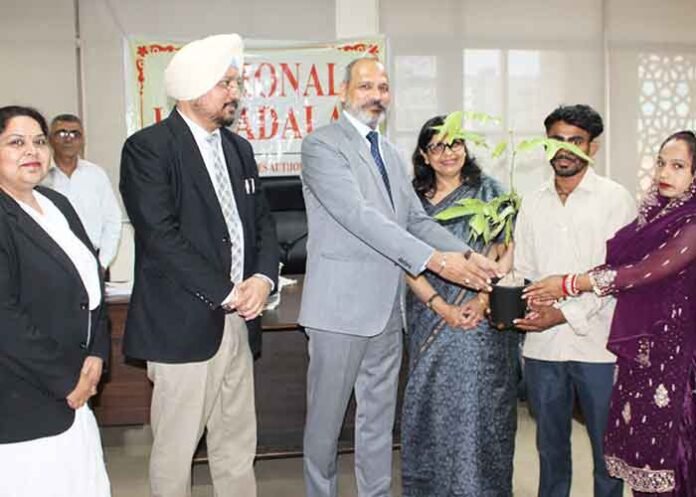 Punjab National Lok Adalat settles cases