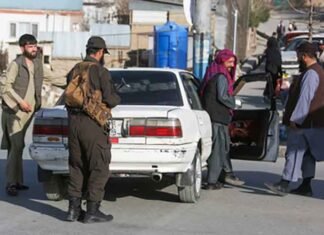 TTP is a Pakistani Movement Rooted in Local Political and Jihadist Ecosystem: Report TTP is Pakistani movement rooted in its territory