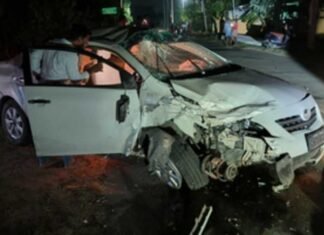 Three Andhra Forest Officials Injured as Red Sanders Smugglers Ram Patrol Vehicle