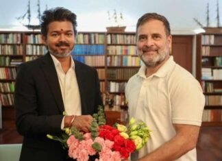 Rahul Gandhi to Meet Tamil Nadu CM Vijay, Address Students at Chennai Event Today
