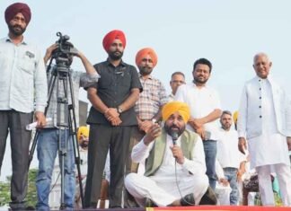 I’m Fighting for Punjab’s Rights, Which Is Why BJP Has Sent ED & CBI After Me: CM Bhagwant Mann CM Mann alleges ED-CBI action 1