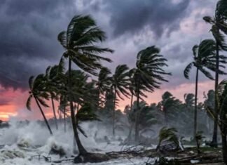 Cyclone Arnab Intensifies into Severe Storm; Andhra Pradesh Begins Evacuations, Shuts Beaches