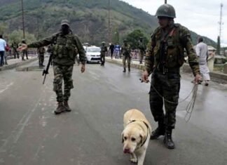 J&K Security Tightened: Searches in Jammu Jail, Anti-Tunnelling Exercise Along Samba Border J&K security forces search Jammu