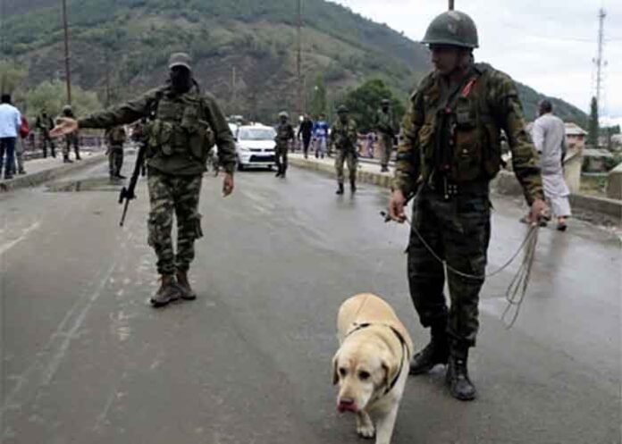 J&K security forces search Jammu