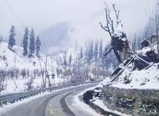 Kashmir Chills Intensify as Gulmarg, Pahalgam Record First Sub-Zero Temperatures of Season Jammu & Kashmir Snowfall temperature